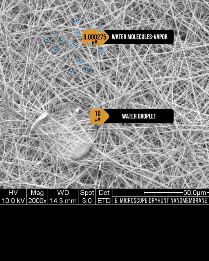 Ein Rasterelektronenmikroskop zeigt ein Netzwerk aus ineinander verschlungenen Nanofasern. Ein kleiner Wassertropfen von 10 Mikrometern und Wasserdampfmoleküle von 0,000275 Mikrometern sind vor dem Hintergrund hervorgehoben.