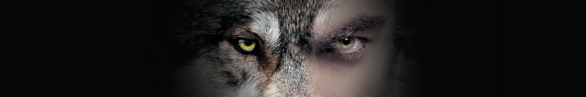 Ein geteiltes Bild, das die linke Hälfte eines Wolfsgesichts mit einem durchdringenden gelben Auge und die rechte Hälfte eines menschlichen Gesichts mit einem ähnlich intensiven Blick zeigt. Beide Augen laufen in der Mitte zusammen, vor einem dunklen Hintergrund.